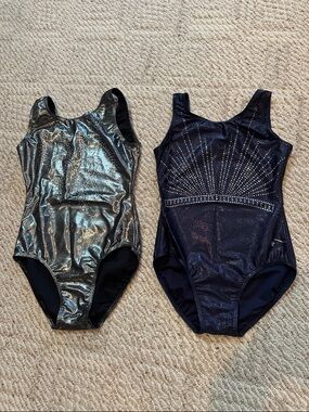 Destira Metallic Silver and Navy Gymnastics Leotards - AXS